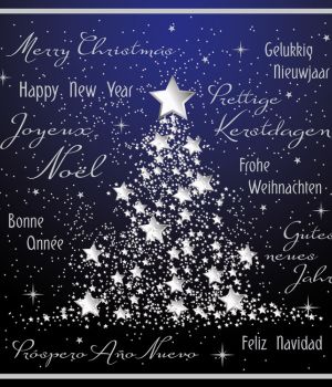 FROHE WEIHNACHT & HAPPY NEW YEAR 2022
